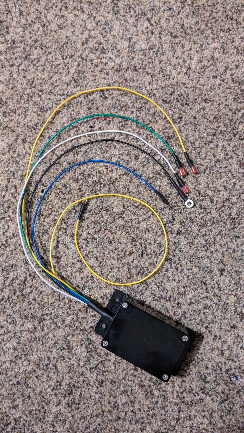 Midget Horn Control Box.jpg