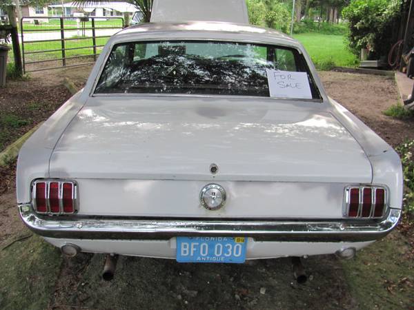 Rear.jpg