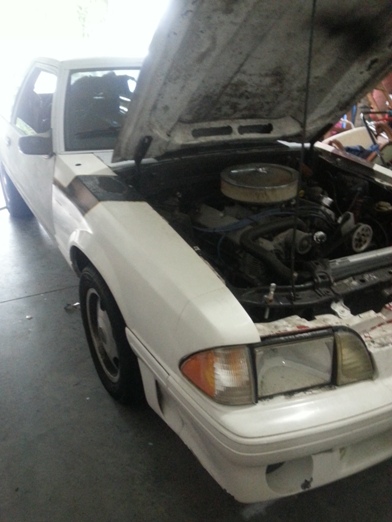 mustang 89 2.jpg