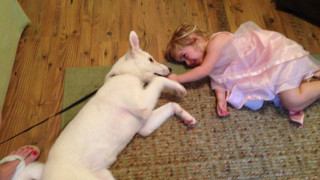 My sweet pup Luna and her human cousin
