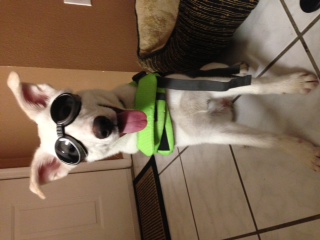She wants to come to the Autocross events