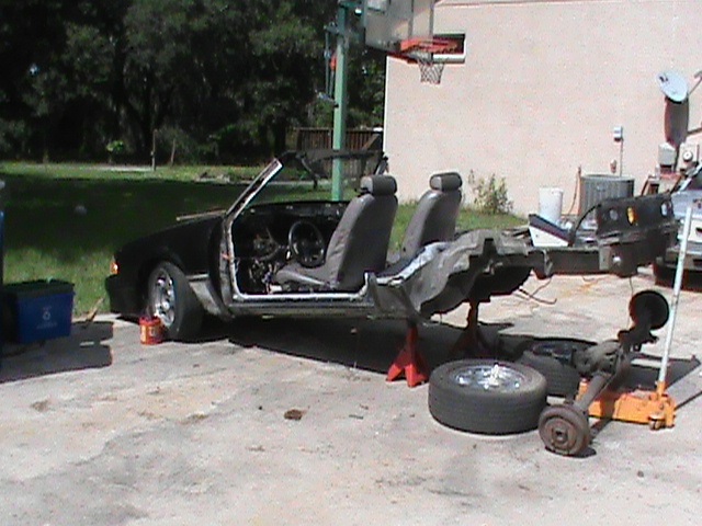 newcar.jpg