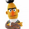 bert.jpg