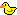 Duckie :duck: